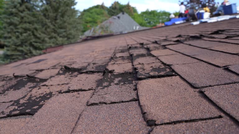 Best 4 Ply Roofing  in Edinburg, VA